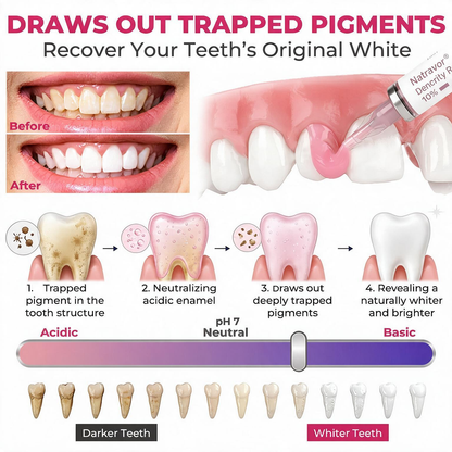 🔥Natravor® DenPerm Cavity-Repair Natural Enamel Filling Gel